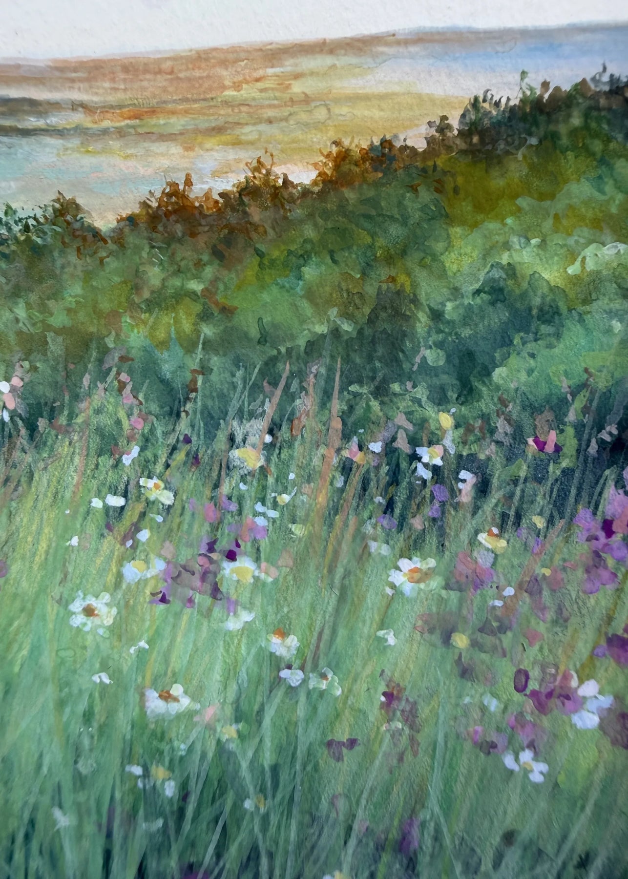 シリーズ 陽の光(原画)